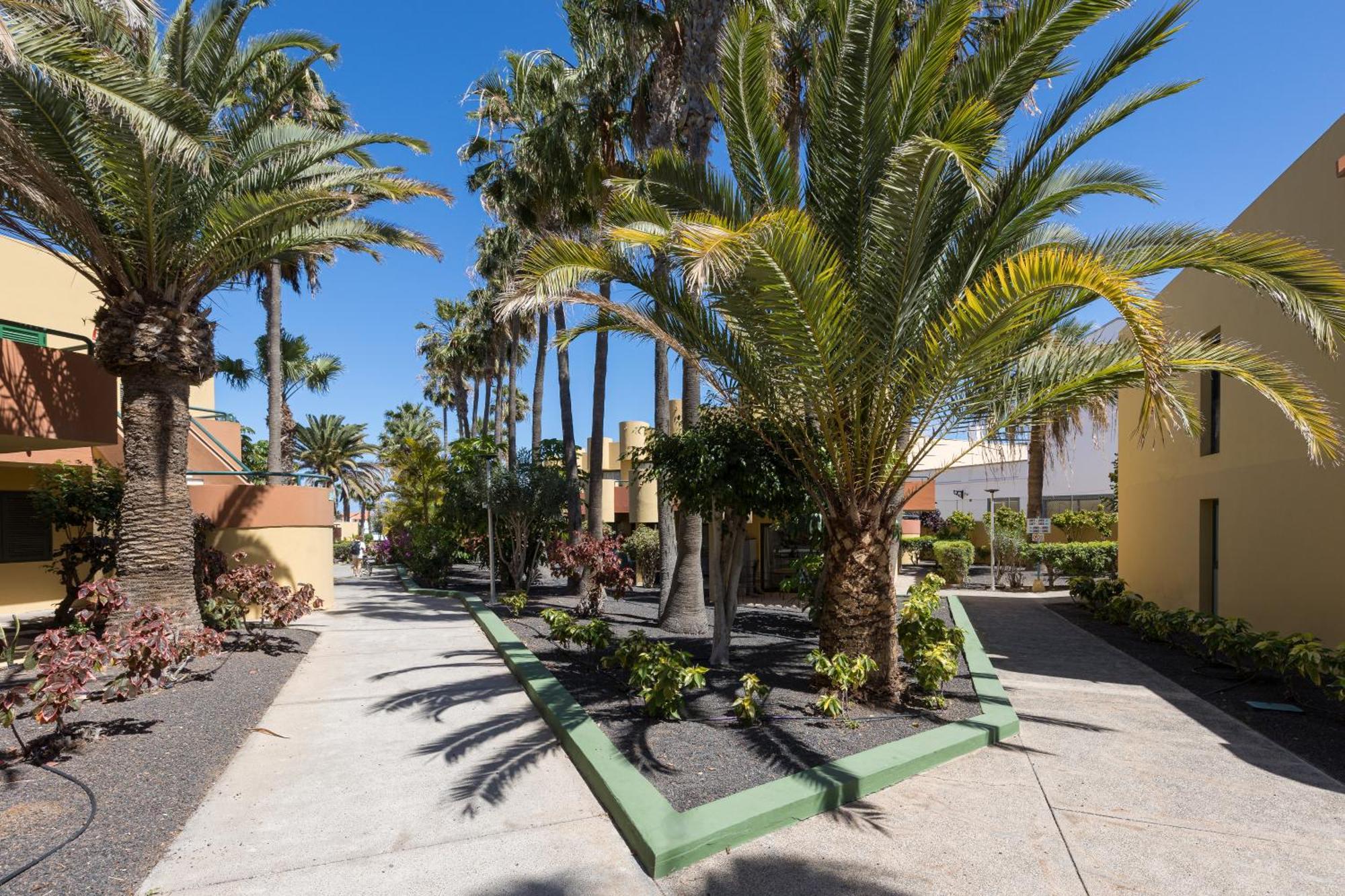 Home2Book Pool & Tennis Court Cozy Apt, Corralejo Luaran gambar